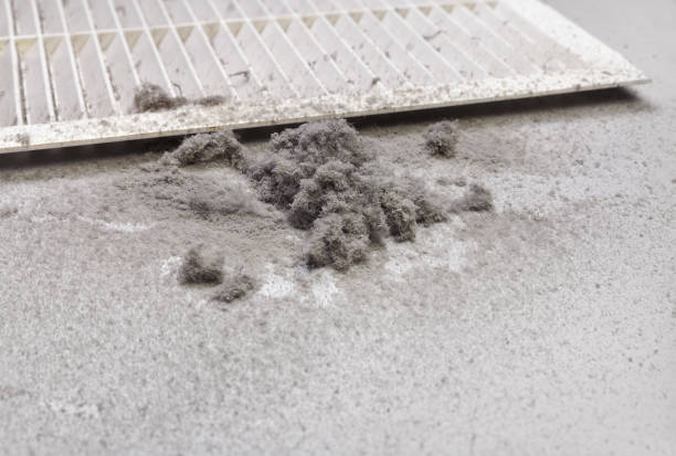 Best Air Duct Mold Removal  in Fort Morgan, CO