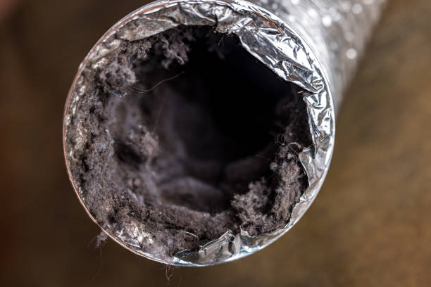 Best Dryer Vent Cleaning Services  in Fort Morgan, CO